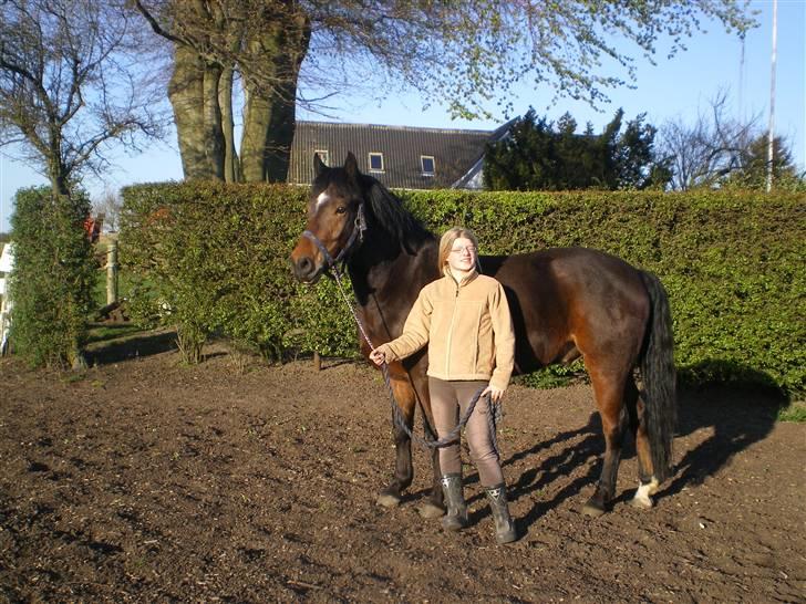 New Forest Roløkke Superman - efterår..  billede 12