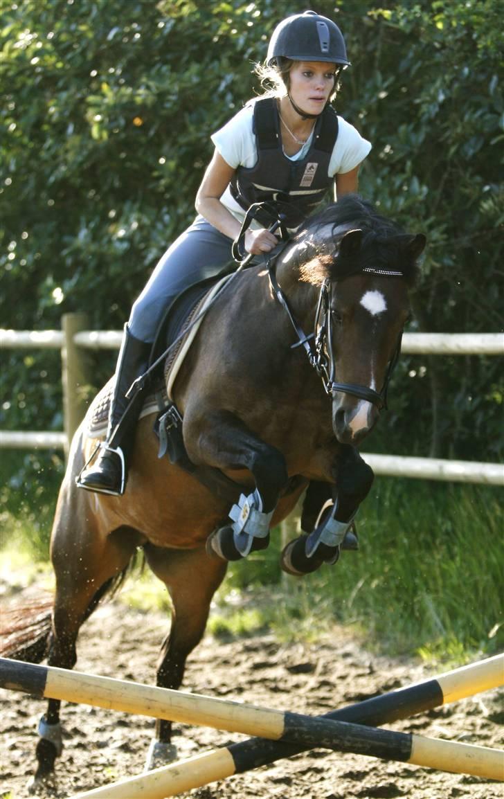 New Forest Birkilds Fortuna billede 9