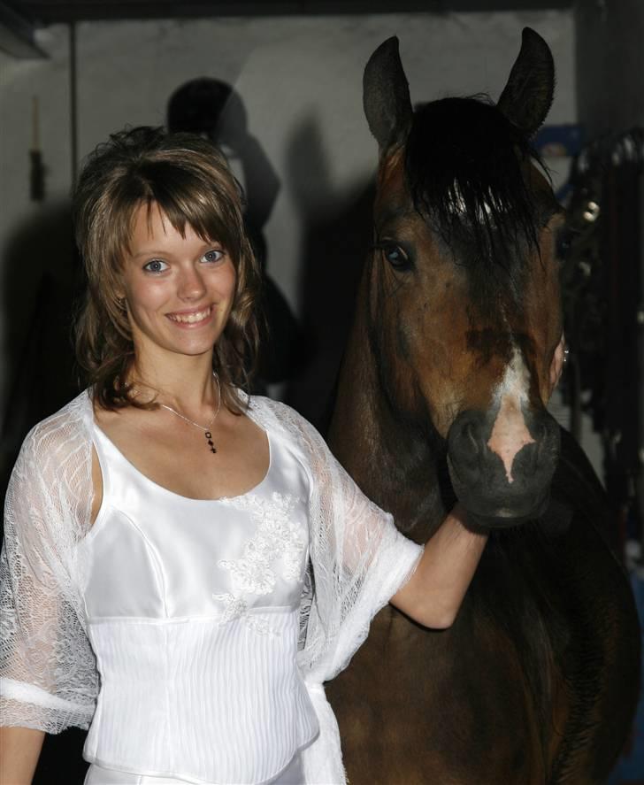 New Forest Birkilds Fortuna billede 11