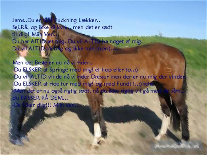 Dansk Varmblod Fabian 007 R.I.P - Miig der har lavet det!!! billede 14