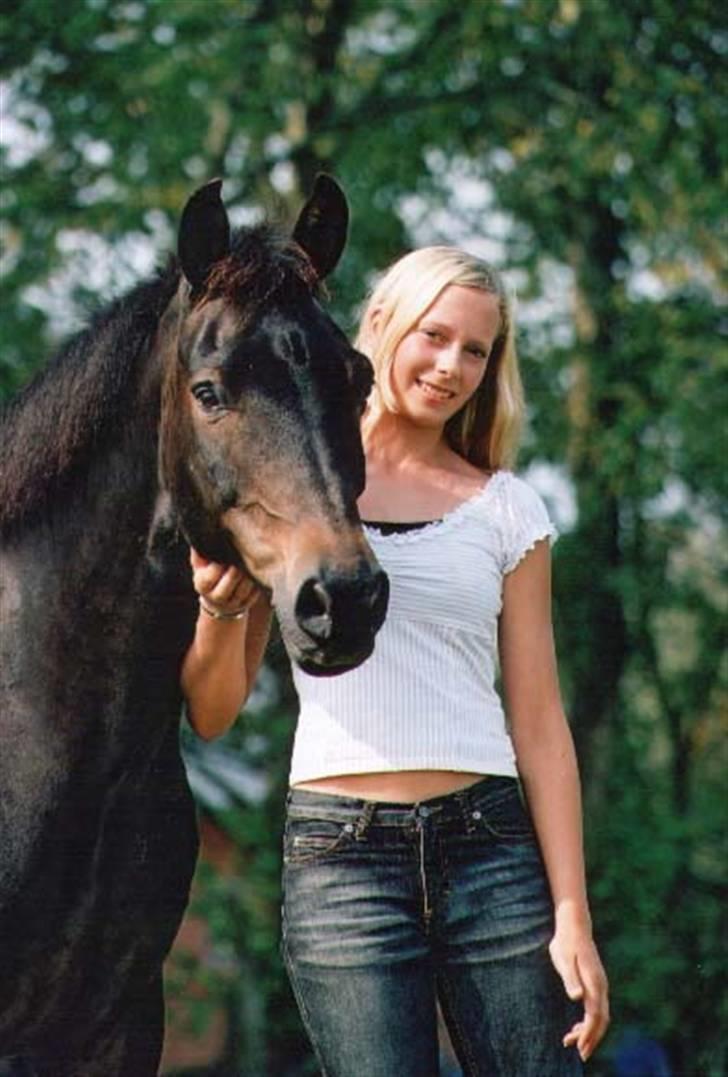 New Forest Tobias Vesta billede 9