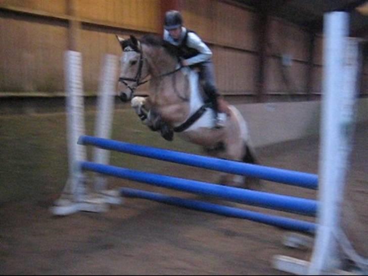 Pinto Aponion  - Nyt!    Spring<33  billede 3