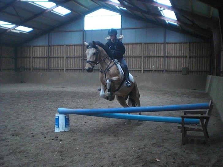 Pinto Aponion  - NYT Spring billede 4