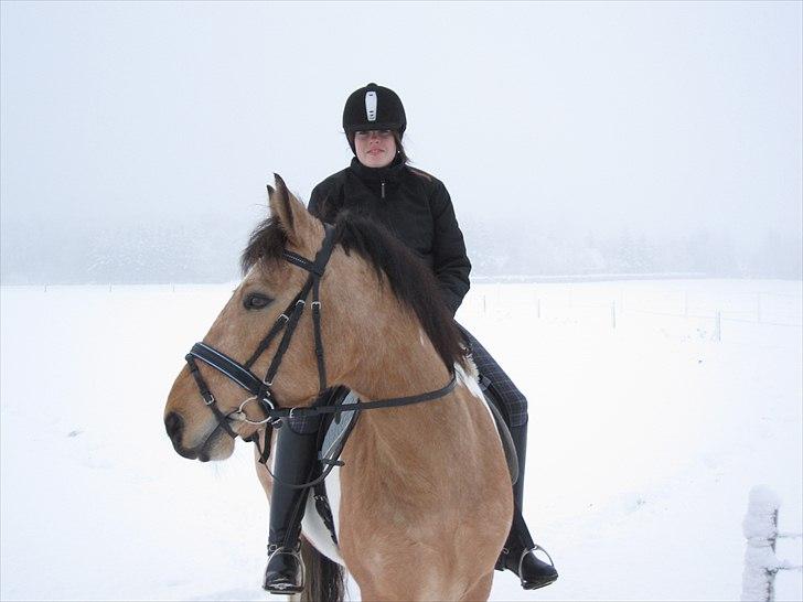 Pinto Aponion  - Skridt tur i sneen billede 5