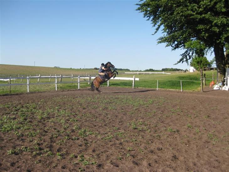 {{currentPhoto.altText}} billede {{currentPhoto.number}}