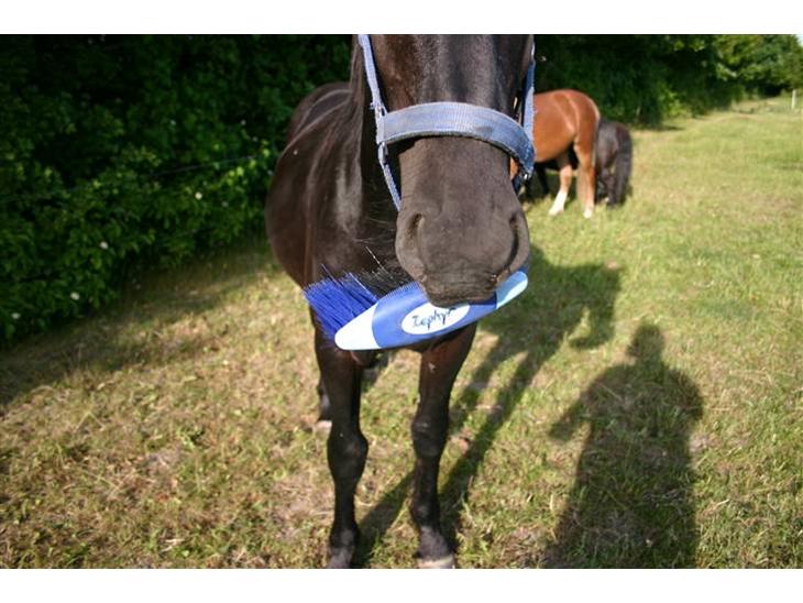 {{currentPhoto.altText}} billede {{currentPhoto.number}}