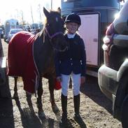 Anden særlig race Miss sixty (R.I.P)