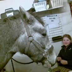 Connemara Wonder Cartney