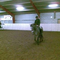 Connemara Wonder Cartney