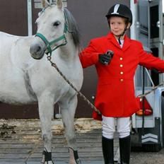 Welsh Pony af Cob-type (sec C) Smut, R.I.P.