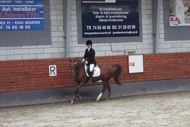 DSP Shanthi R.I.P - foto: Emilie billede 3