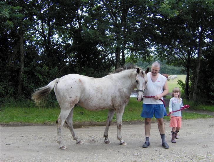 Anden særlig race Sofus  - Her er Sofus med far og lillesøs billede 1