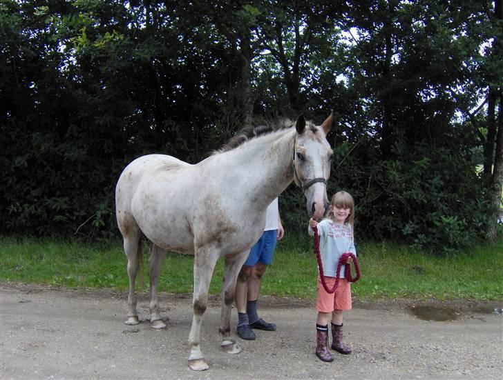Anden særlig race Sofus  - Sofus og Wendy billede 2