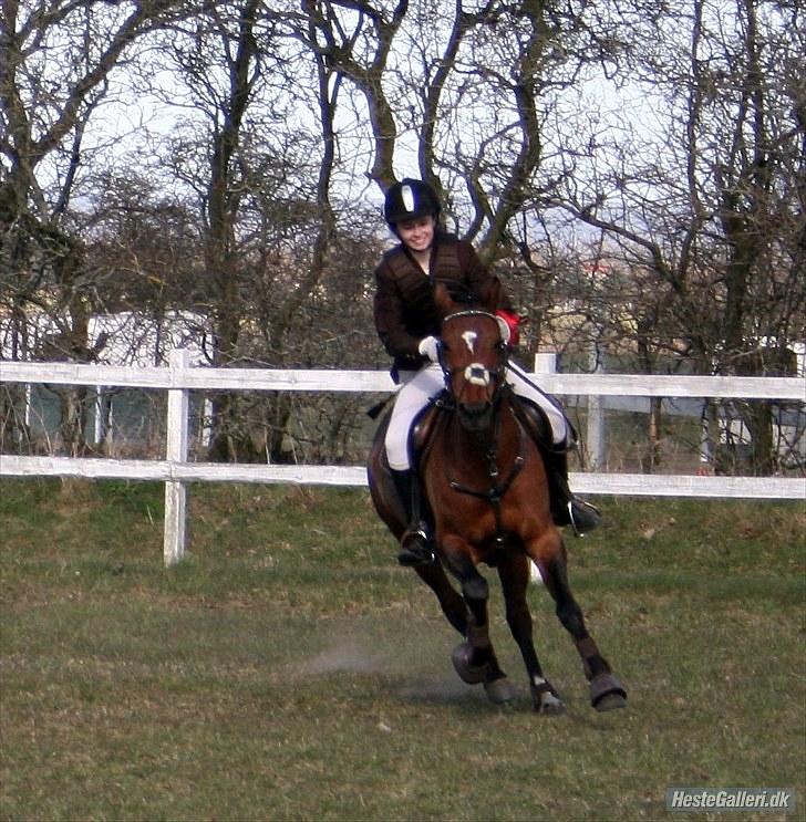 Anden særlig race Bianca - Æresrunde, 1 plads i LA :D Fotograf: Sissel Schult 2010 billede 15