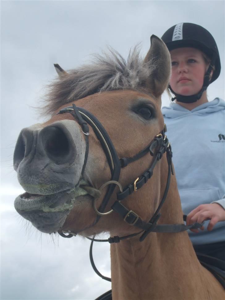 Anden særlig race Frede <3 Lånt Videre :/ - Jae, hehe - Der kan man lige se vi er med i DREAM TEAMET ! haha Flot frede <3 billede 1