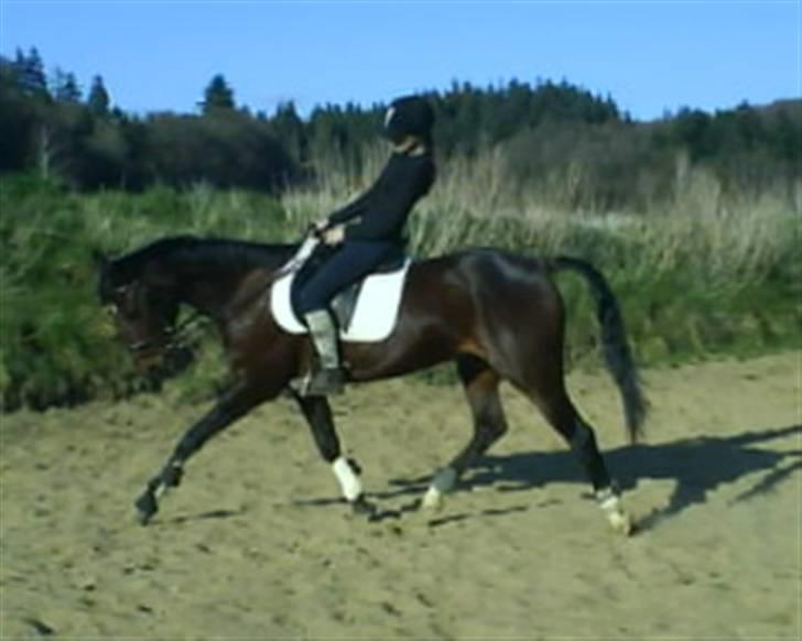 Anden særlig race De Light - Jeg elsker dig bar skat! billede 8