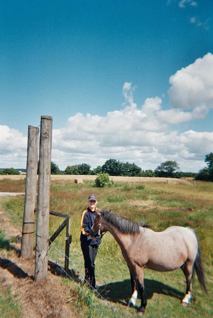 Anden særlig race Dolly - Her er min dejlige trofaste pony. Billedet er fra d. 8 juli 2007. Den 14 okt. blev hun 21 år. billede 1