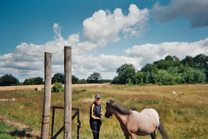 Anden særlig race Dolly - Endnu et af den dejlige dame. Billedet er fra d. 8 juli 2007. Den 14 okt. blev hun 21 år billede 2