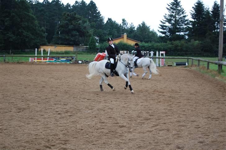 Welsh Pony (sec B) tintin<33 - hehe vi var til stævne og det gik fint billede 11