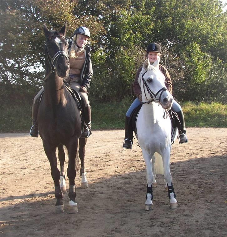 Welsh Pony (sec B) tintin<33 - er ude og ride tur med Christina Kronborg billede 14