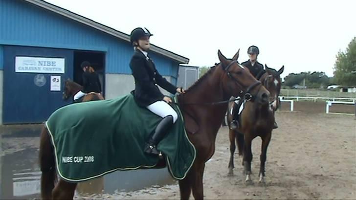 Oldenborg Alextho [Mors] - Alextho og jeg , vinder af NC hest spring 2008 :D billede 9