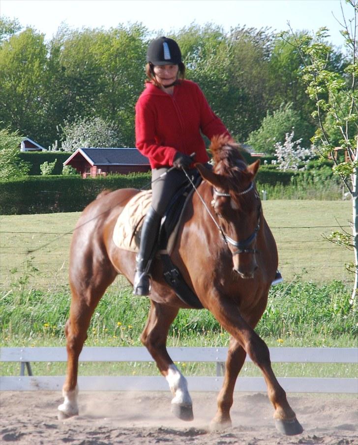 Oldenborg Alextho [Mors] - Mor og Alextho, undervisning 24. maj 2010 Alexthos fødselsdag;D Foto: Team MP <3 billede 10