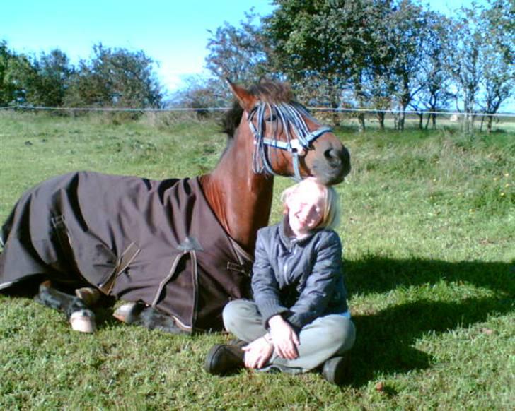 Anden særlig race Kurt ( Urt ) - En tidlig morgen på marken før et stævne billede 16