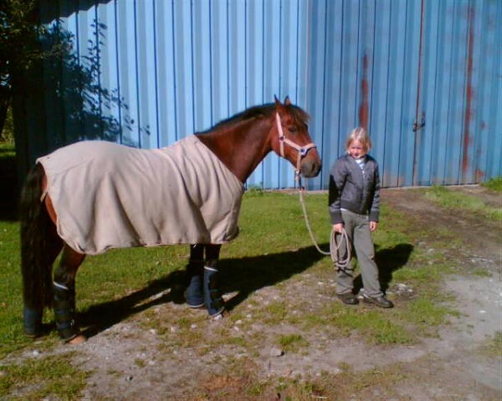 Anden særlig race Kurt ( Urt ) - På vej til stævne billede 17