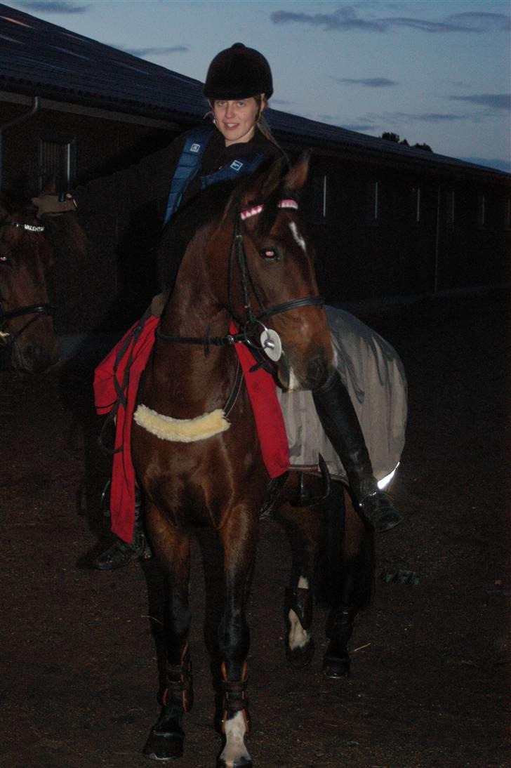 Anden særlig race Sally (solgt) - Mig og Sally en tirsdag aften efter springning på efterskolen:) billede 20