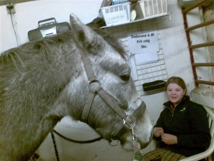 Connemara Wonder Cartney billede 1