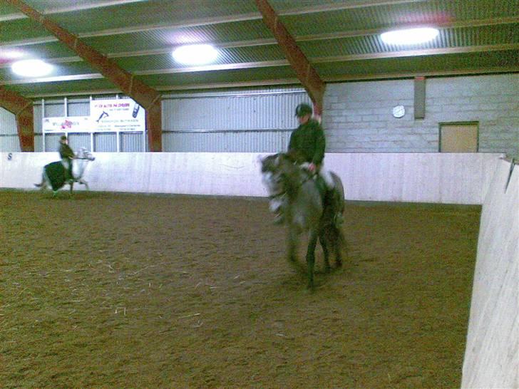 Connemara Wonder Cartney billede 3