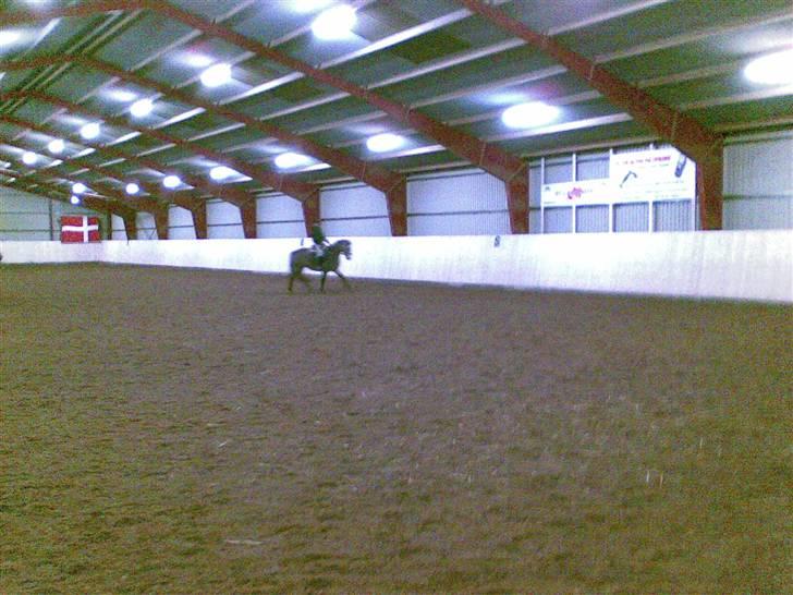 Connemara Wonder Cartney billede 4