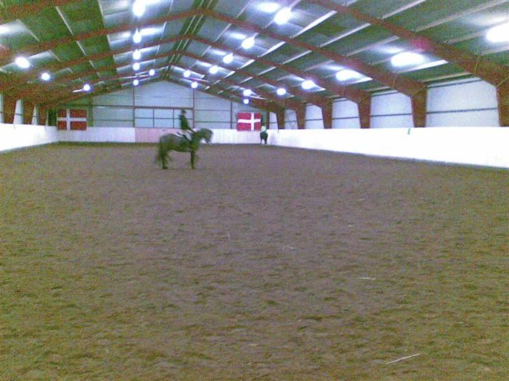 Connemara Wonder Cartney billede 6