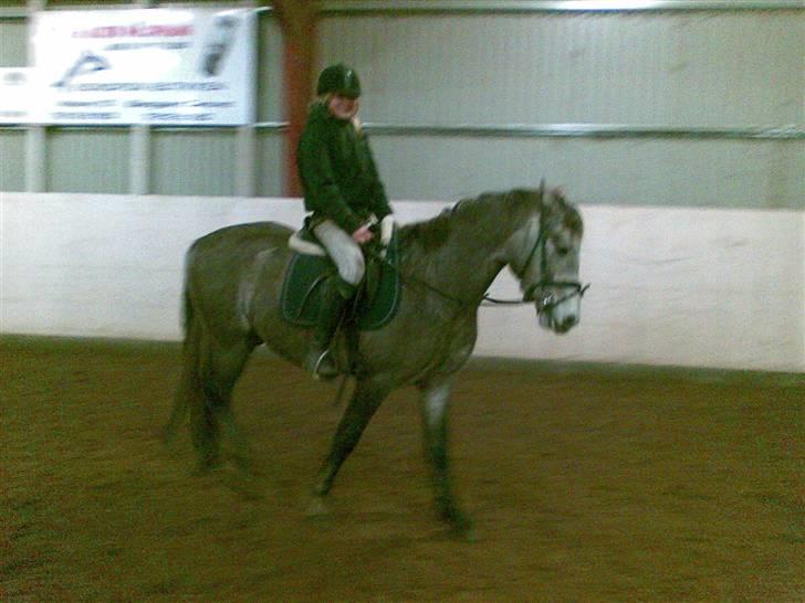 Connemara Wonder Cartney billede 12