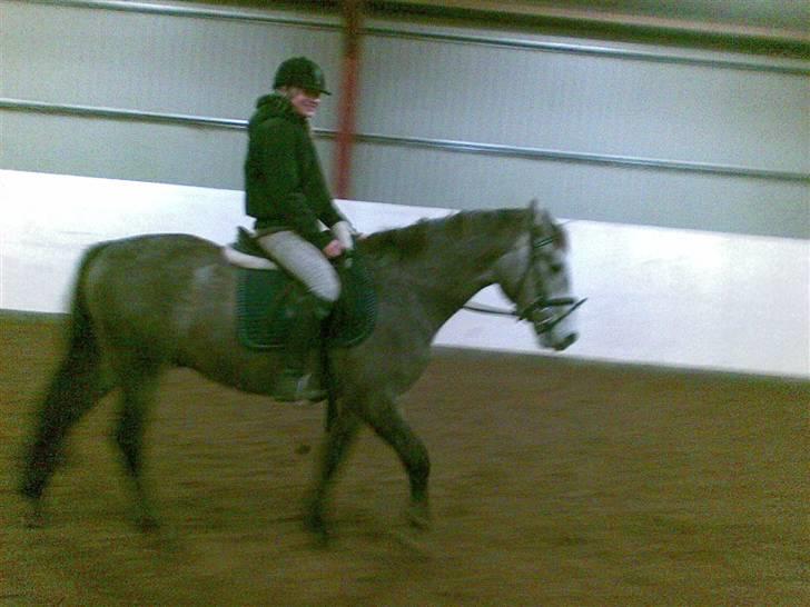 Connemara Wonder Cartney billede 13