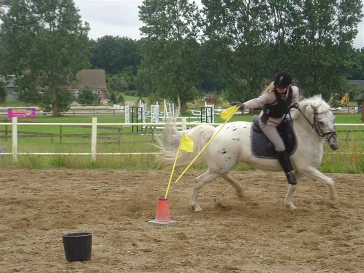 Knabstrupper Gaja  - Her øver de lidt pony games. billede 3