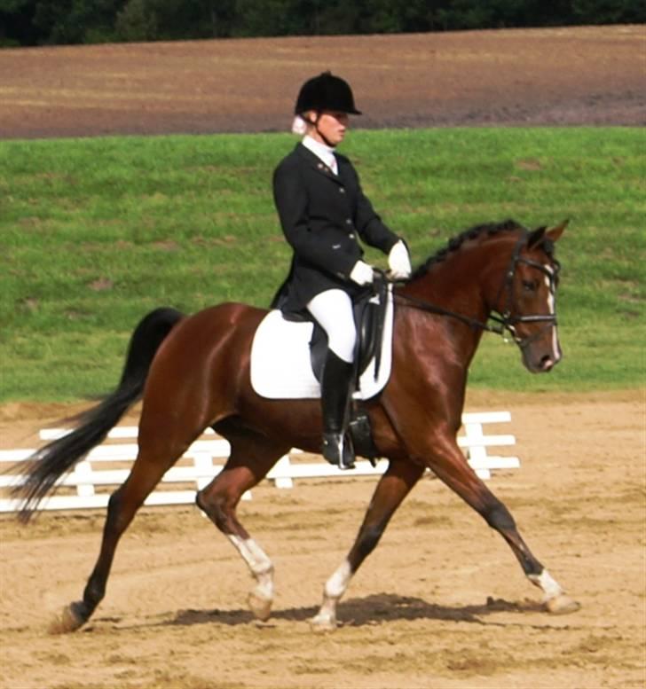 Anden særlig race Magic Don Karnage - Stævne. Foto: Freddy Juhl billede 10