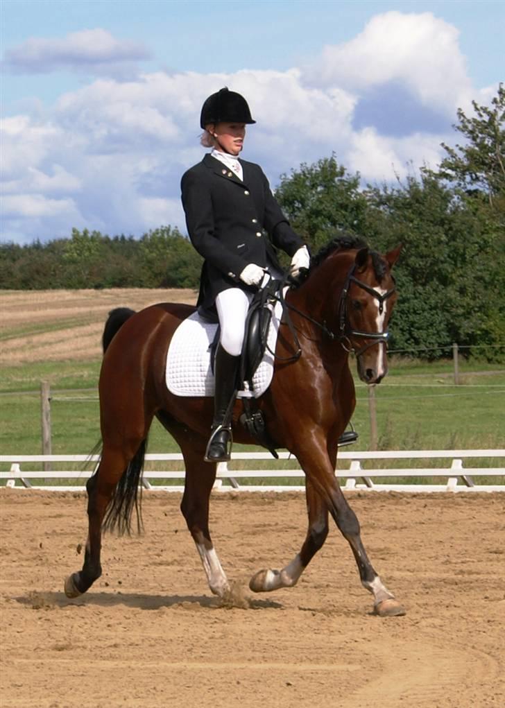 Anden særlig race Magic Don Karnage - Stævne. Foto: Freddy Juhl billede 11