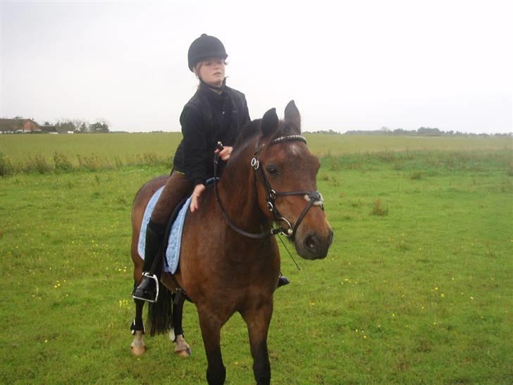 New Forest Red knigth - Helle og Knight står sig lige og får en slapper (0: billede 11