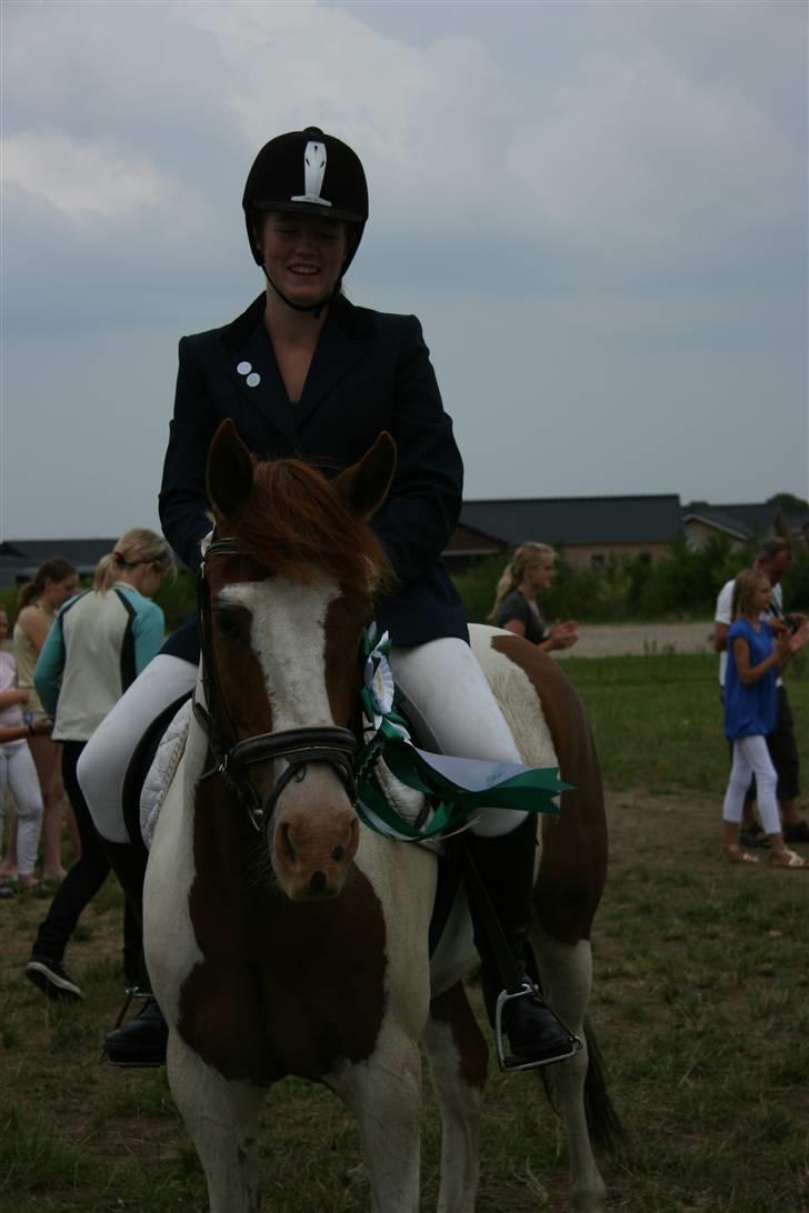 Pinto Zwier <3<3 -solgt :( - 3.plads til dressur klubmesterskabet for pony på HDR ´09 ;D Foto: Sofie Thorgaard billede 6