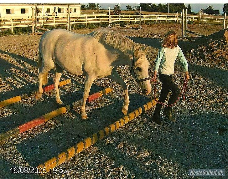 Anden særlig race Melissa ¤Min pige¤ - Den dag du blev min :) Mester fotograf: Mor billede 9