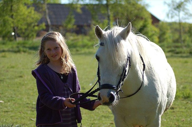 Anden særlig race Melissa ¤Min pige¤ - Kusinen og Melissa Mester fotograf: Katja billede 11