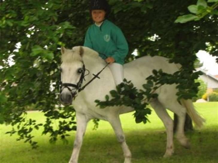 Anden særlig race - Grey Tally Star  - Tally og jeg rider mellem bladene på træet. | © www.arnora.dk billede 9