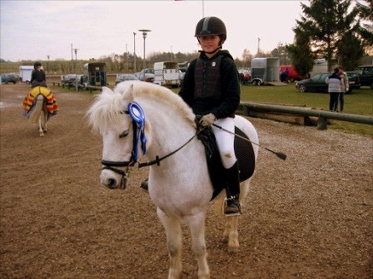 Anden særlig race - Grey Tally Star  - 2. plads i SLR | © www.arnora.dk billede 8