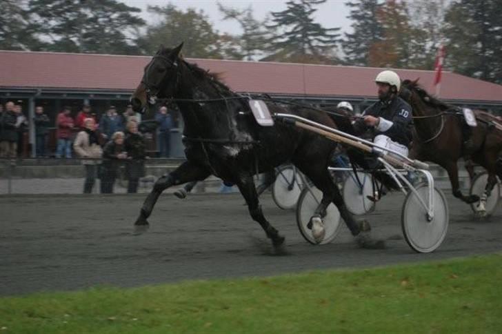 Traver jonte streamline (s) billede 1