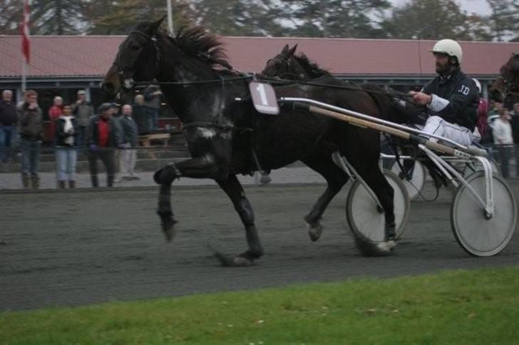 Traver jonte streamline (s) billede 2