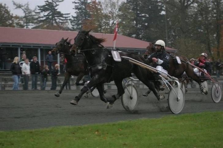 Traver jonte streamline (s) billede 4