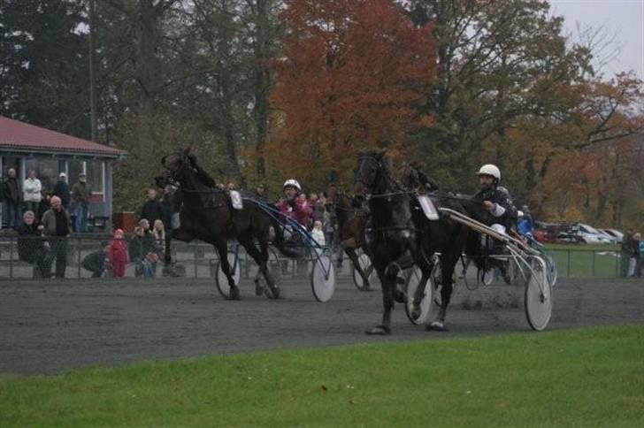 Traver jonte streamline (s) billede 5