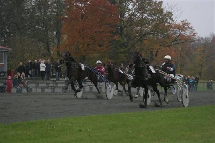 Traver jonte streamline (s) billede 6