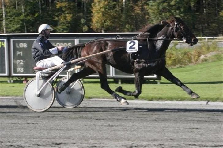 Traver jonte streamline (s) - Det er et godt billede.. billede 7